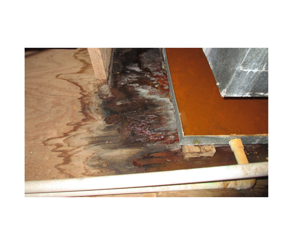 Fire damage restoration