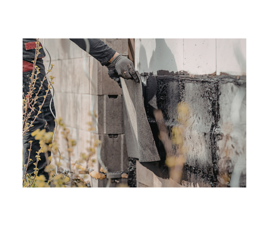Mold remediation